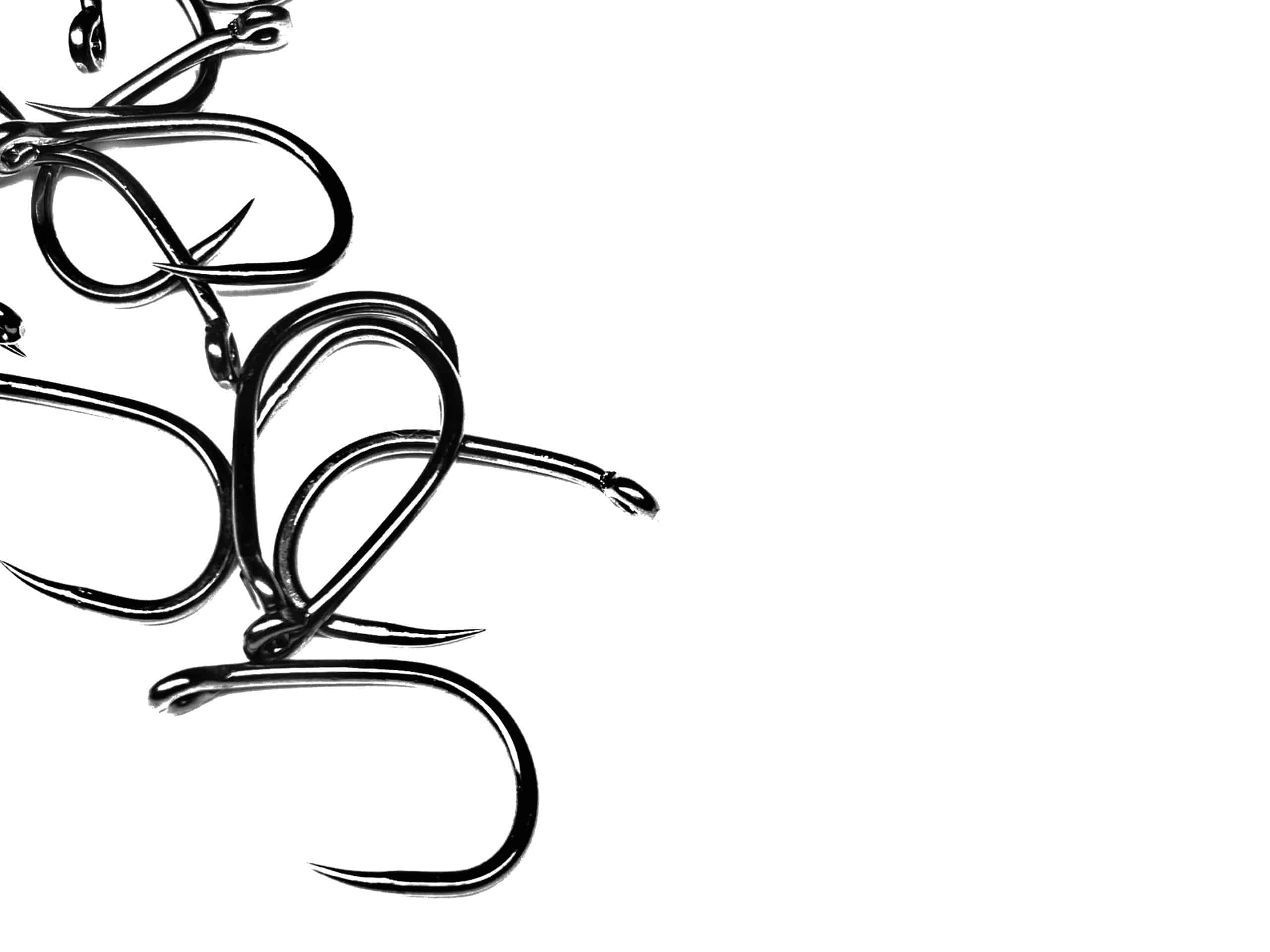 NM-1080BL Carp DM Fly Hook
